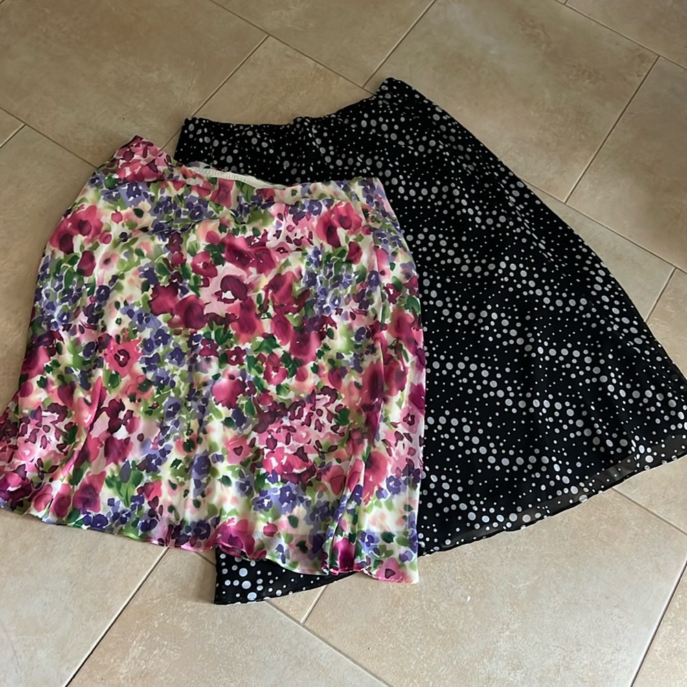 Two Skirts - image 1